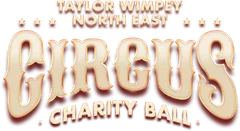 Charity Ball